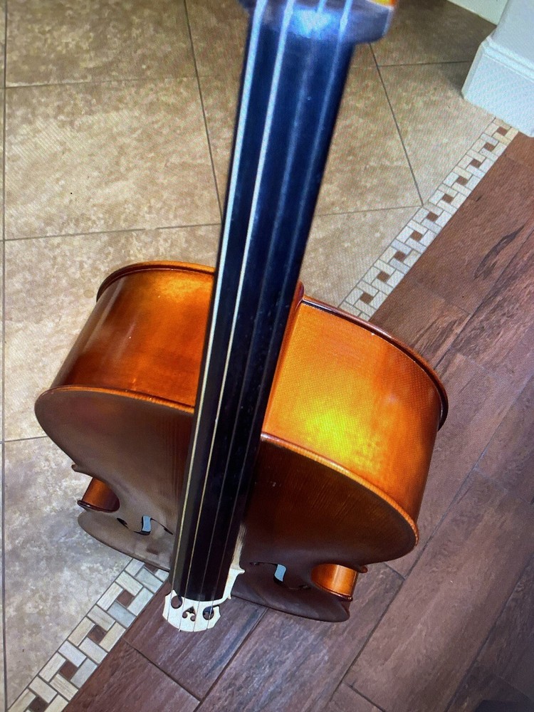 Paesold 602e Cello full size