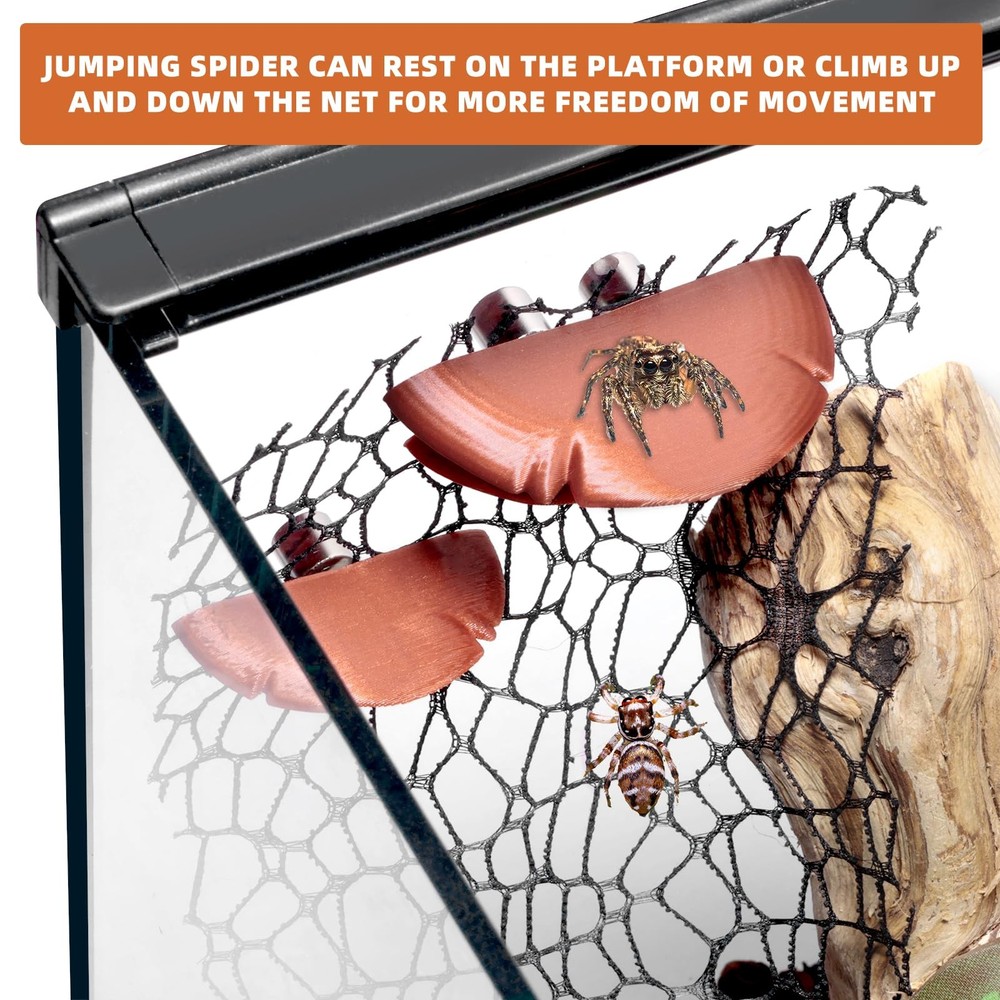 Jumping Spider Hide Habitat Accessories, Brown Enclosure...