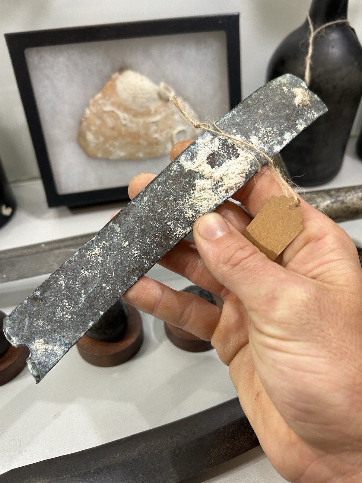 1715 Fleet shipwreck artifact