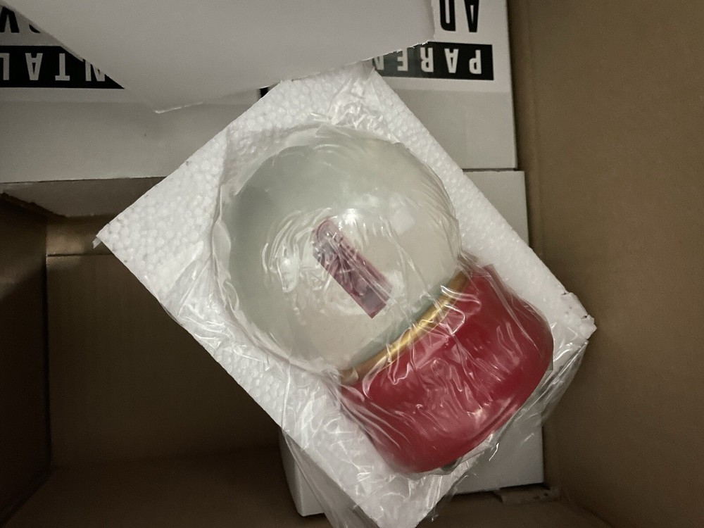 FXXK snow globe