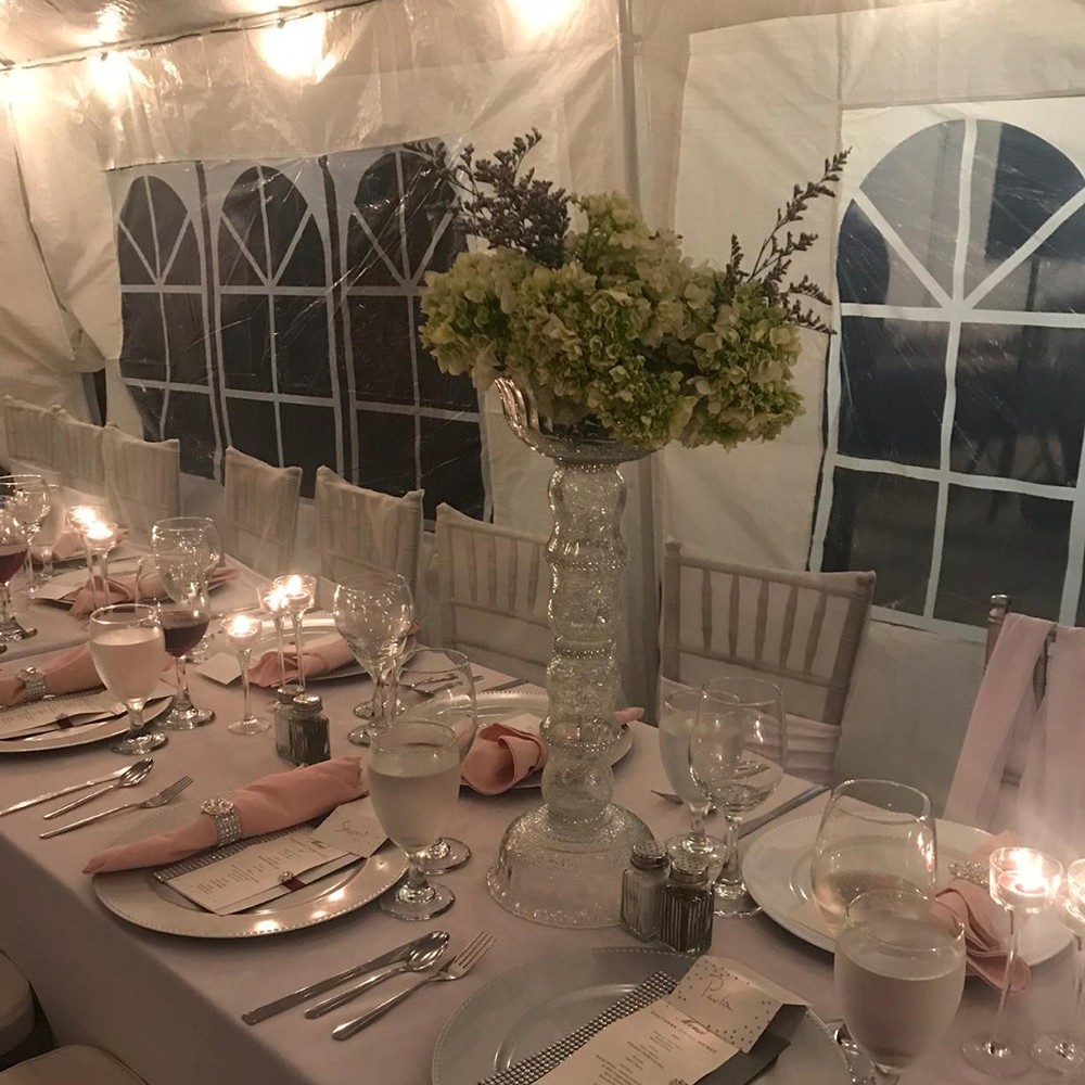 10'x30' Outdoor Gazebo Canopy Tent Wedding Party Tent Patio /w 8 Removable Walls