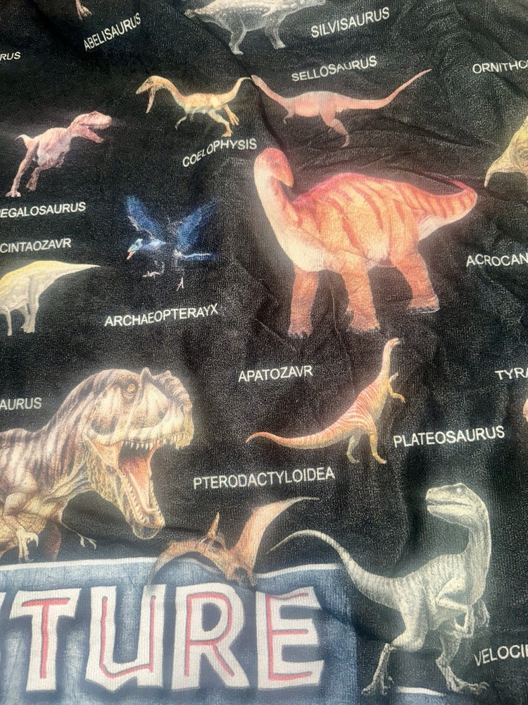 Future Paleontologist Plush Blanket