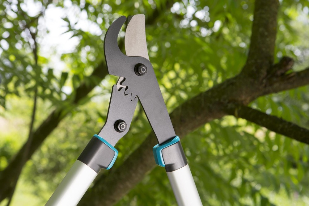 1.65 Inch Cut Capacity 24" Bypass Pruning Lopp