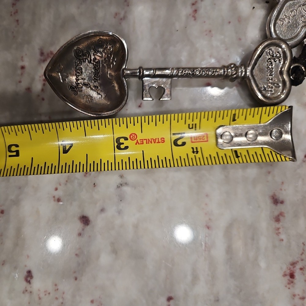 4 GANZ Collectible Measuring Spoons