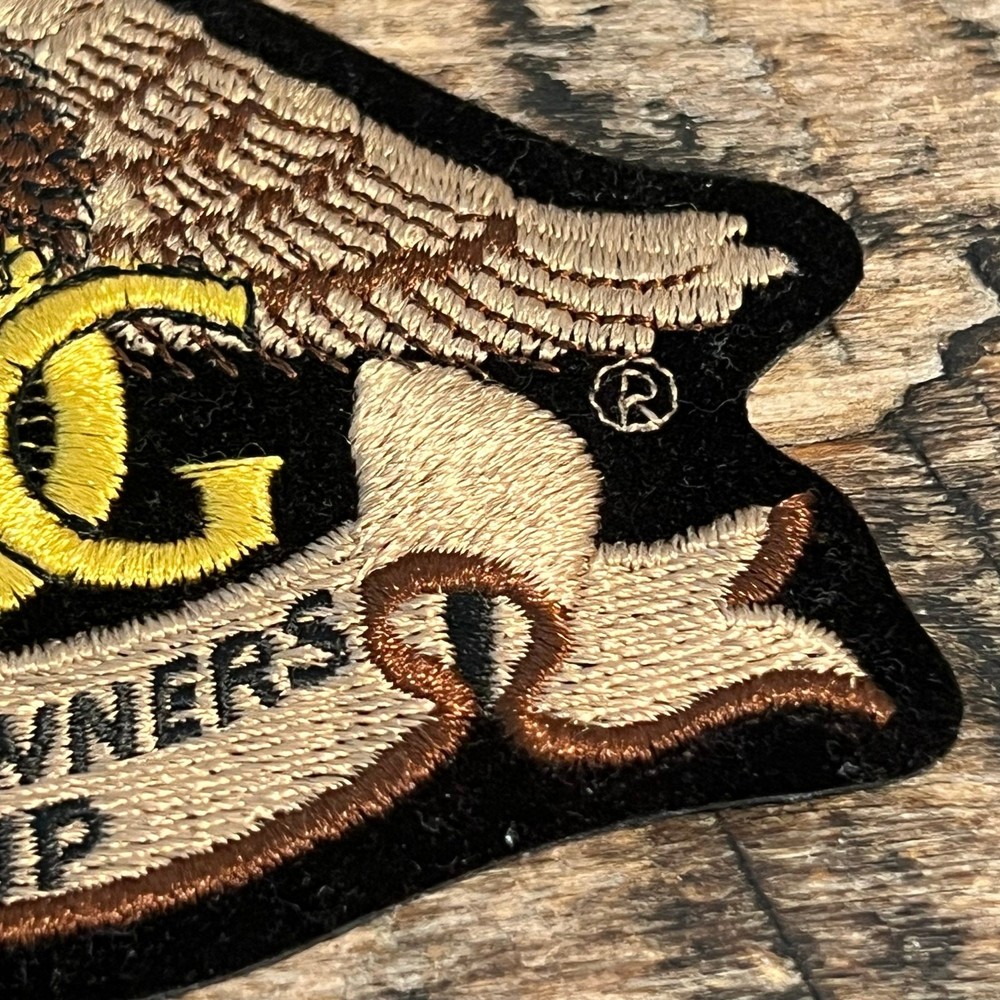 HOG Harley Owners Group Patch Eagle Banner Embroidered Biker Vest