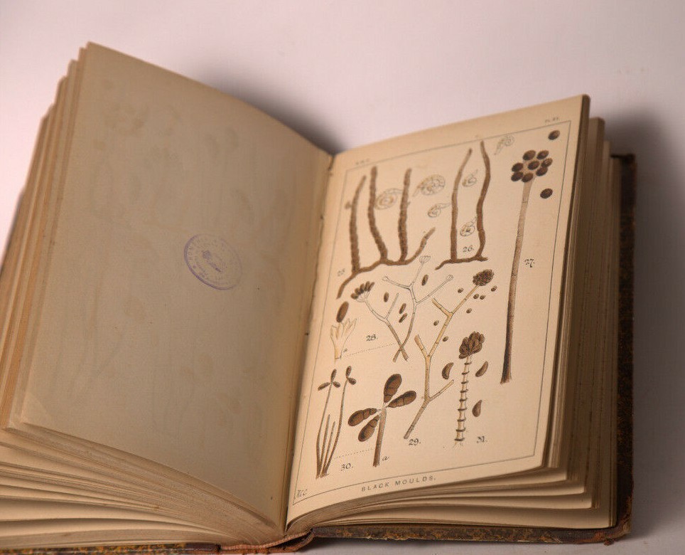 1877 quekett microscopical club ANTIQUE book journal vol.4