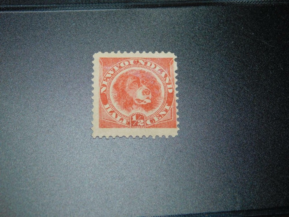 NEWFOUNDLAND, SCOTT# 57, MNH