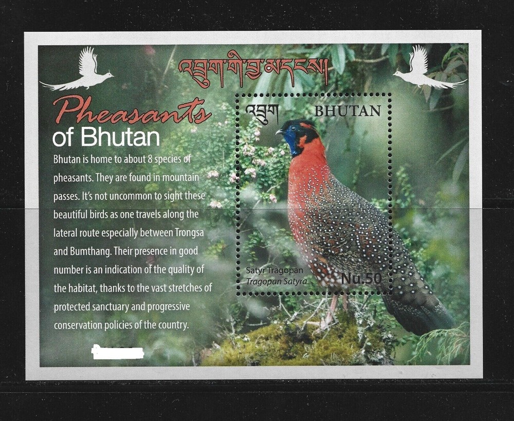 Bhutan 2017 Pheasants Birds  Miniature sheet MNH