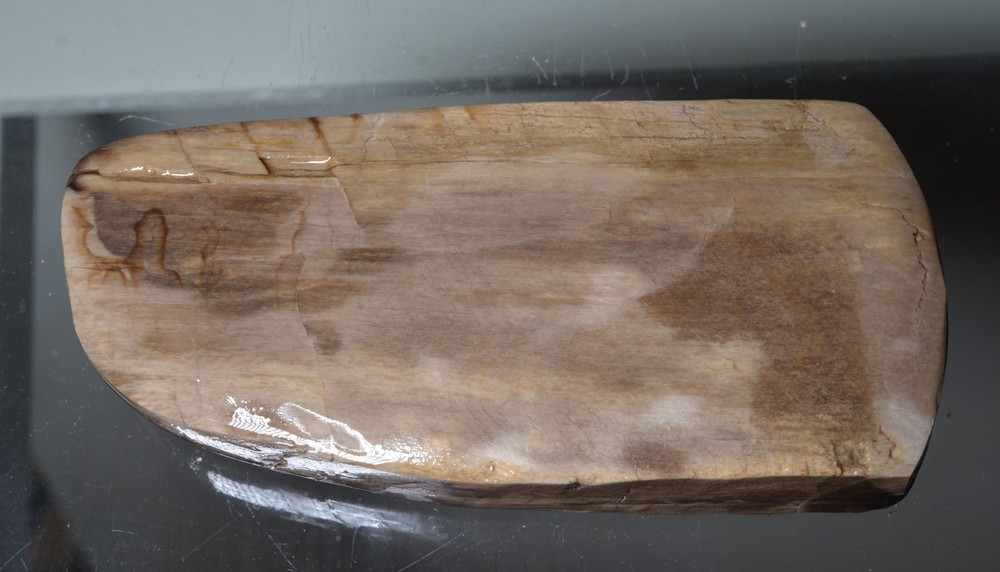 Utah Petrified Wood