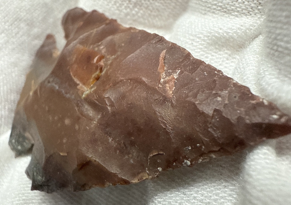 Chert Flint Serrated Edge Brown Gray Arrowhead