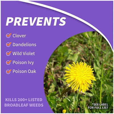 Bonide 309 Weed Killer, Liquid, Spray Application, 1 pt