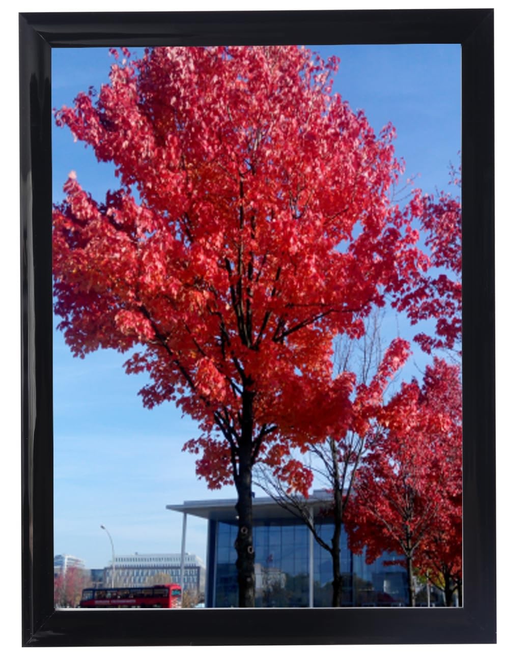 9x12 inch Picture Frame Black, Display Pictures 6x8 with Mat or 9x12 Without