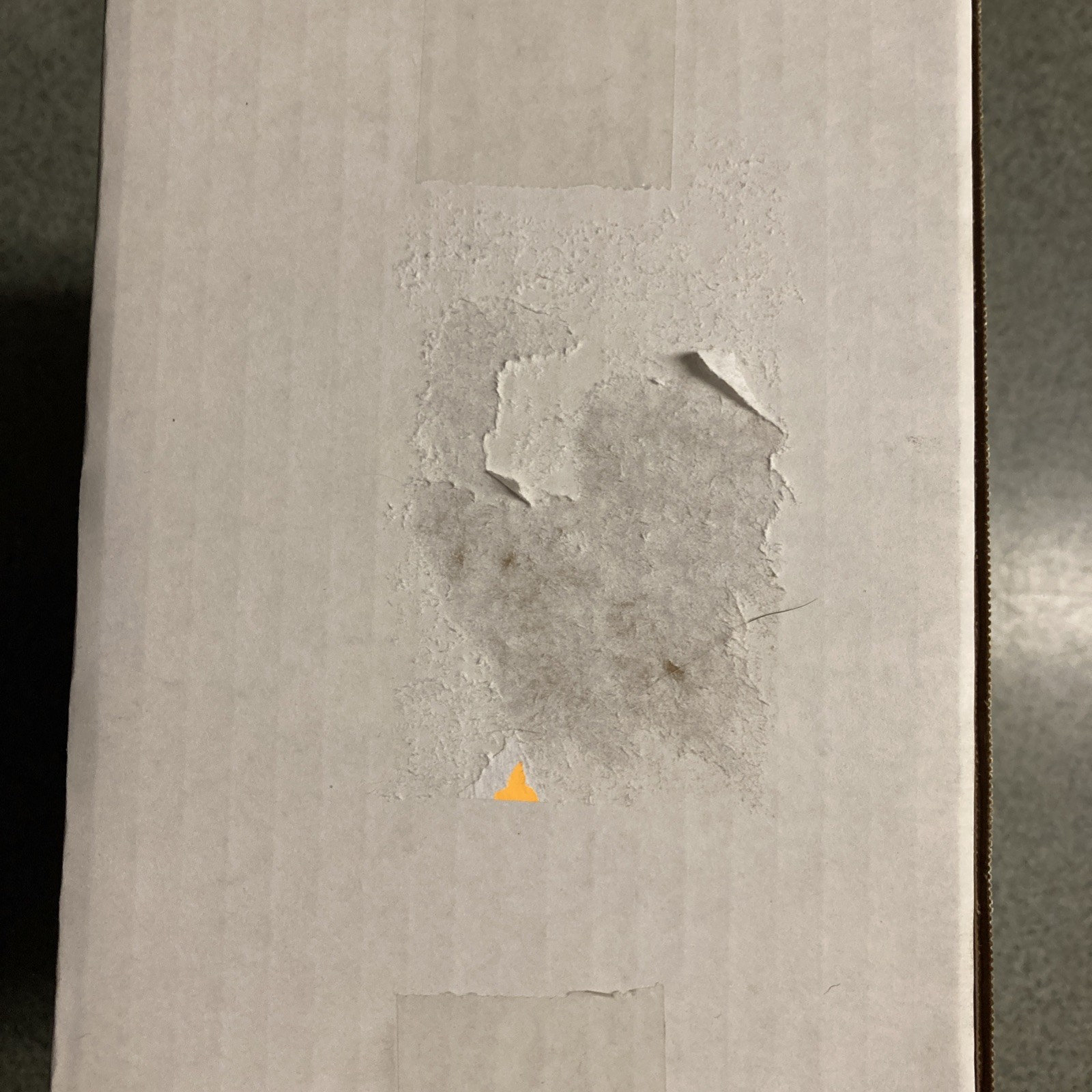 Heath 12 Room Convertible Starling Resistant Purple Martin House Ah-12sr