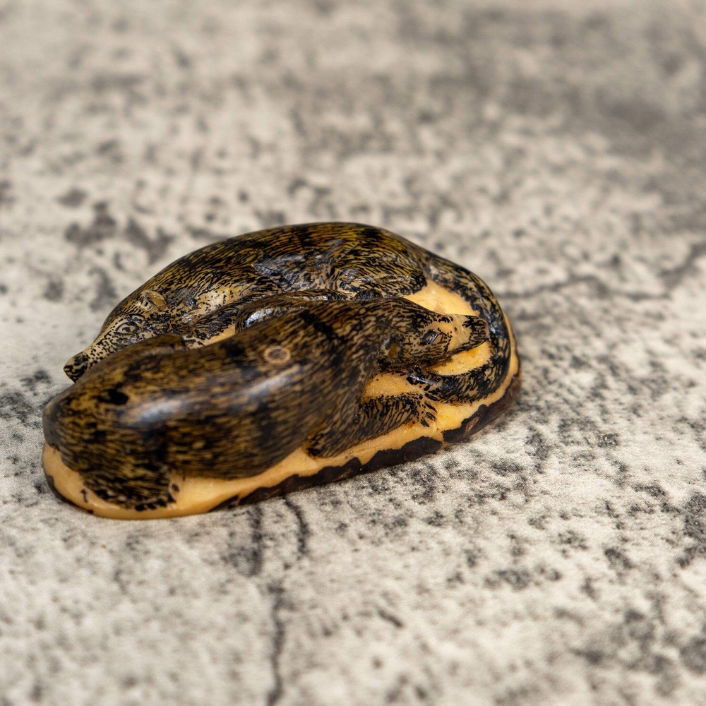 Double Coatimundi Tagua Carving