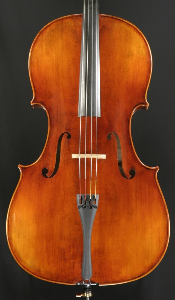 Snow SC400 Cello