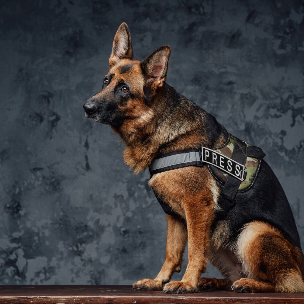 3-Piece Embroidered PRESS Patch for Vests, Jackets, Large & Small, Black & White