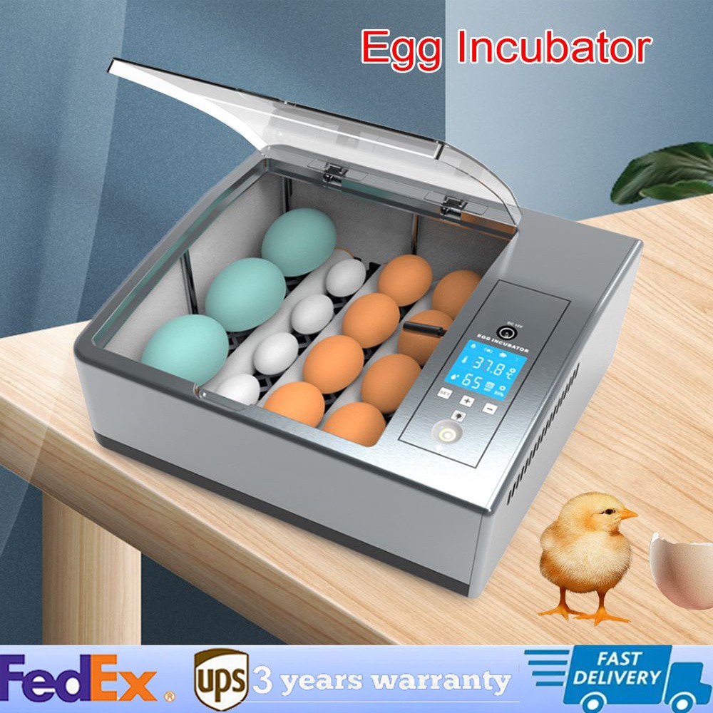 Automatic 16 Egg Incubator with Temperature Control and Turner - US