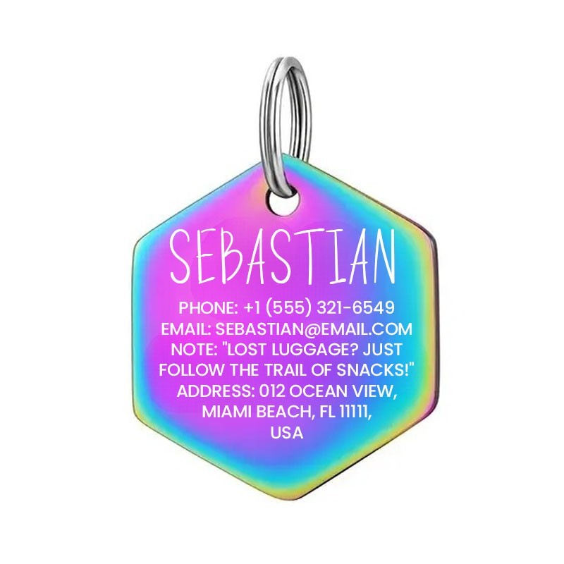 Personalized Hex Stainless Steel Dog Tag Pet Tag Placa de Identificación Perro