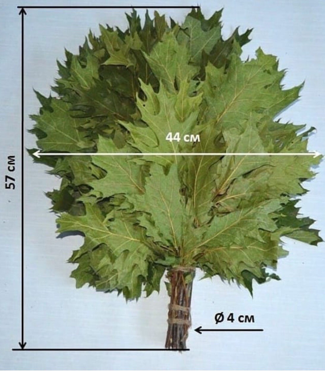 24 OAK whisks sauna banya venik brooms NEW SEASON 2025 FREE SHIPING