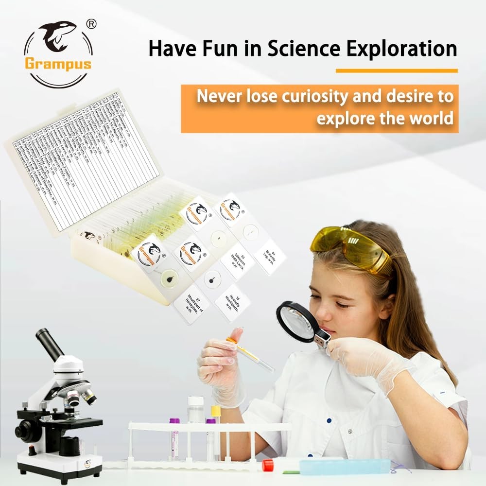 High-Quality Insect Specimen Slides - 30 pcs Microscope Set for Young Scientists
