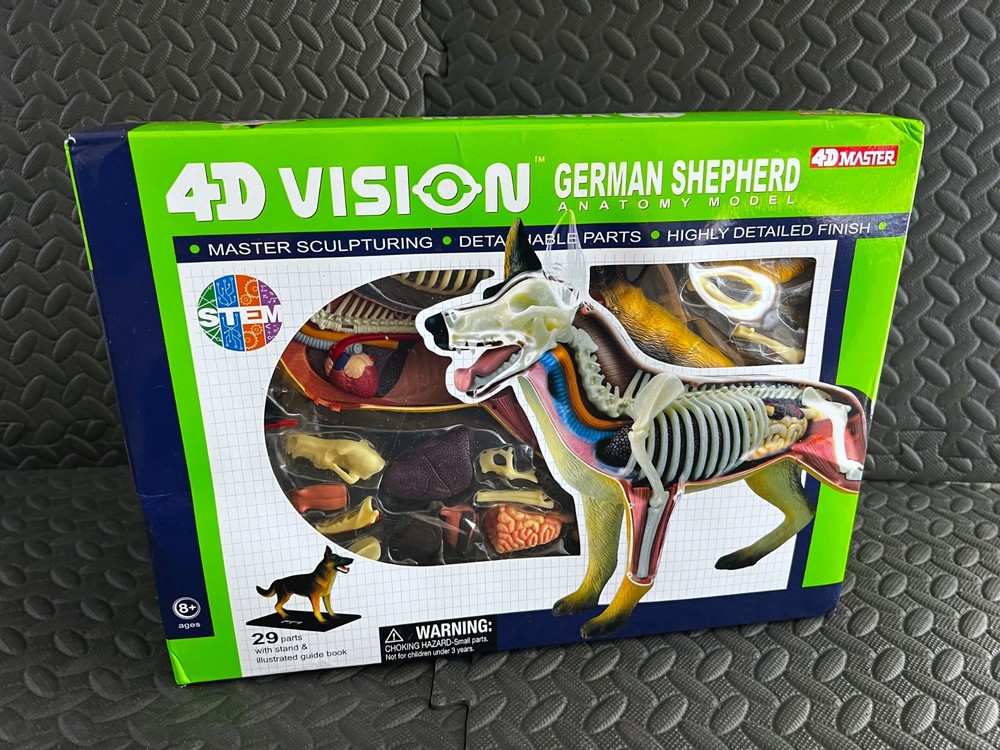 4D Master 4D Vision German Shepherd Anatomical Model Educational Toy