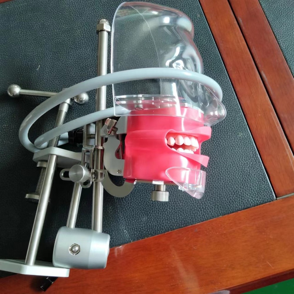Dental Simulator Phantom Head Model Dental Preparation Support