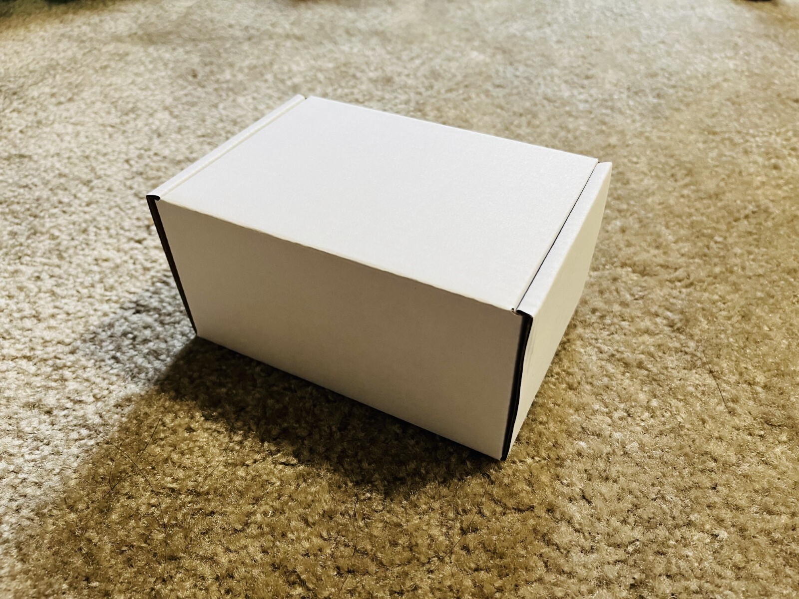 CYCPLUS AS2PROMAX 120PSI Electric Tiny Bike Pump with Gauge,2025 Updated Version