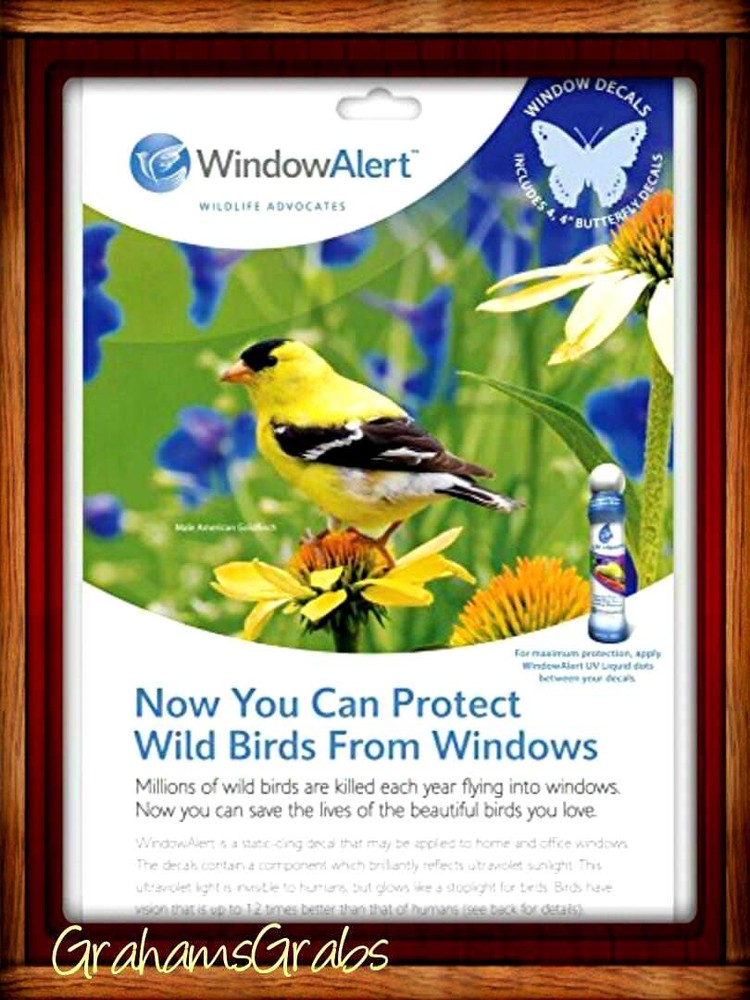WINDOW ALERT ANTI-COLLISION CLINGS BUTTERFLY DECALS PREVENT WINDOW STRIKES