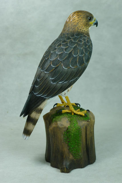 Broad-winged Hawk Original Wood Carving