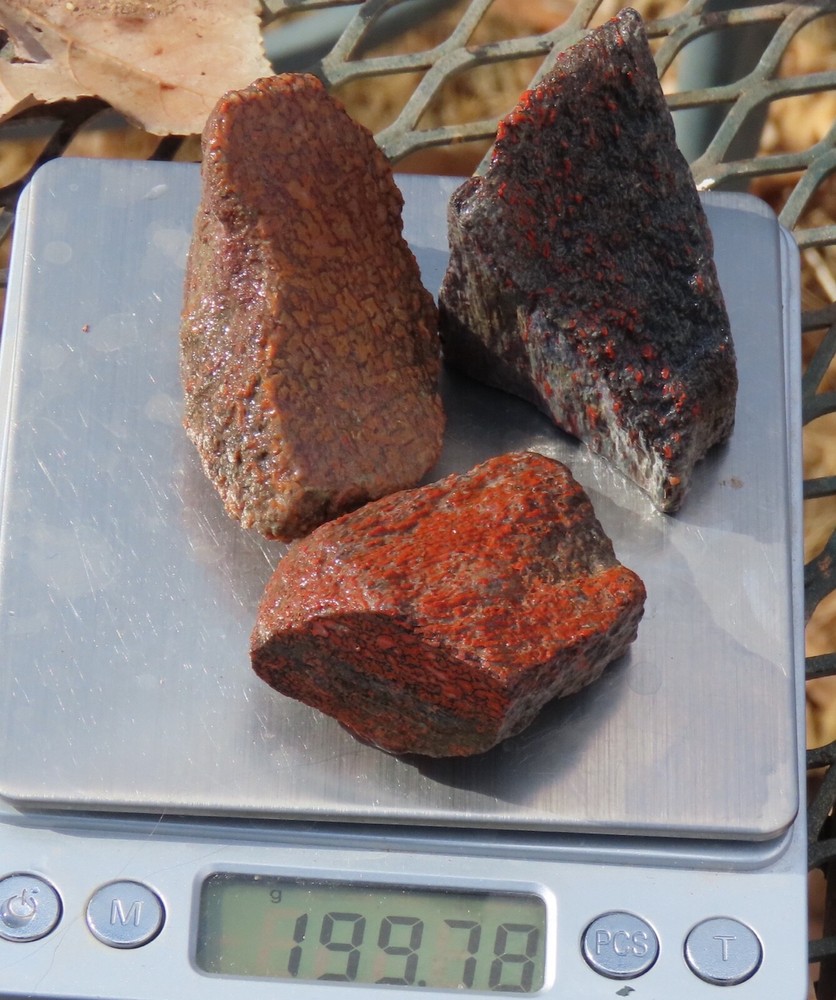 Fossil Dinosaur Gem Set- Dst26- Three pieces- Jurassic/Morrison Formation