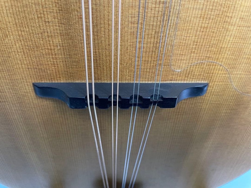 Tacoma flat mandolin m-1