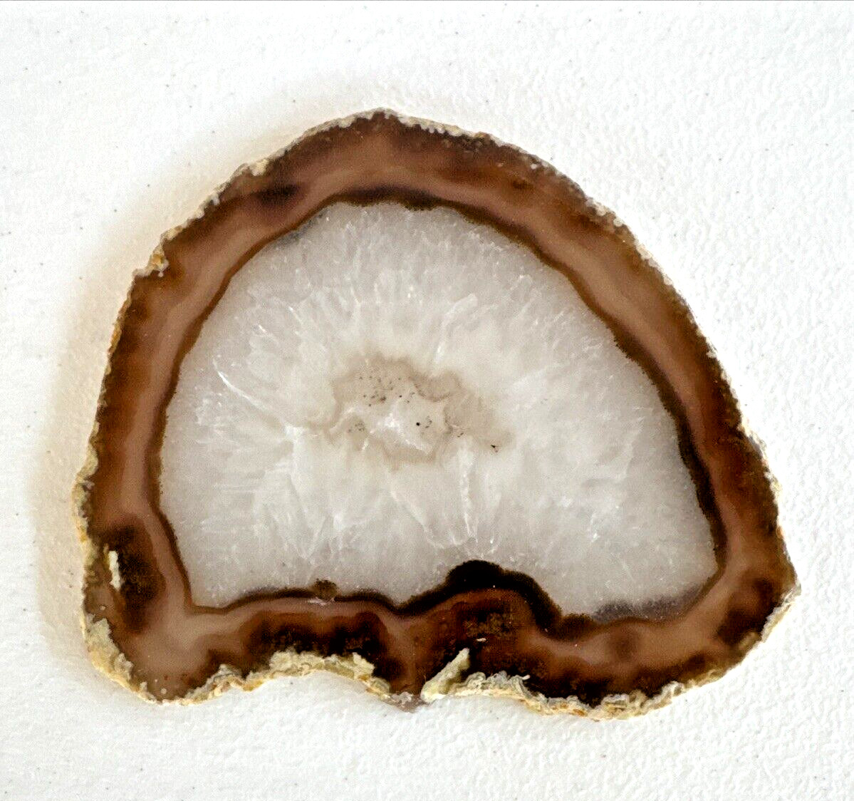 Beautiful Earth Tone Geode Slice Polished Natural Geode Mineral Rock Stone 5” W