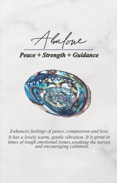 Abalone Shell Gemstone 925 Sterling Silver Cuff Bangle Adjustable C824