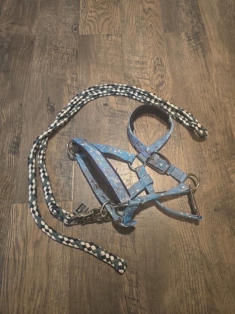 Pony Halter