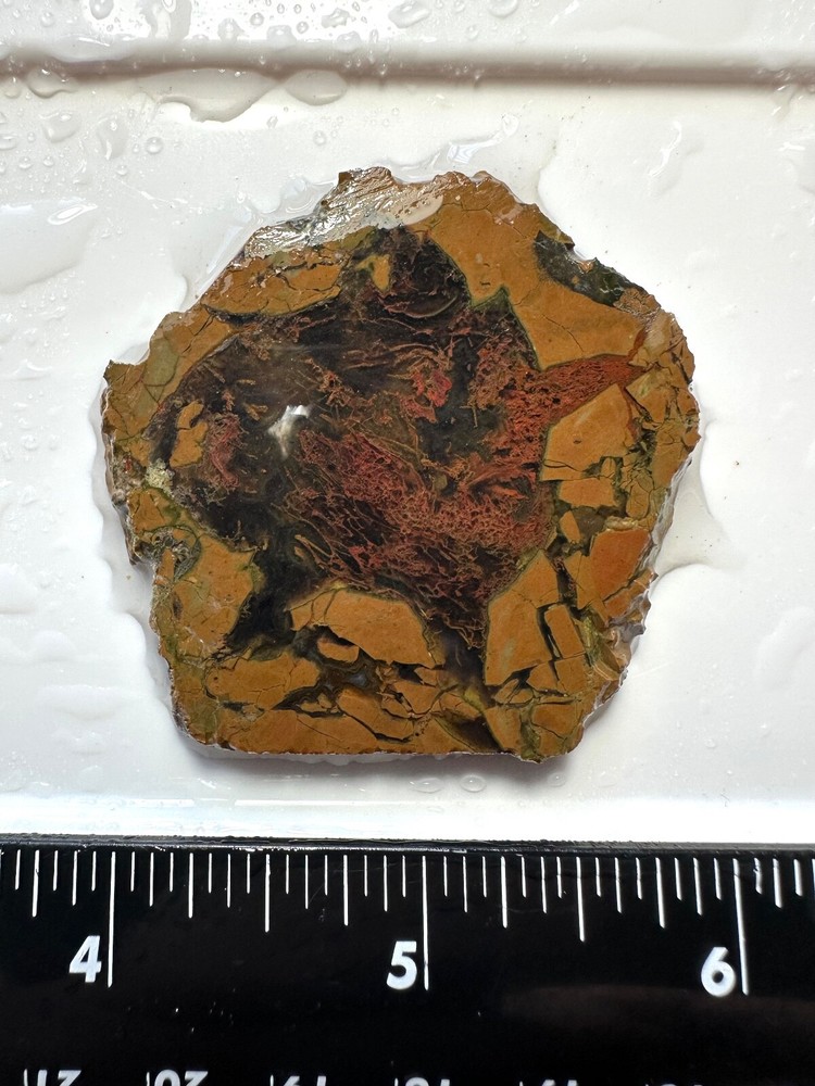 Priday Plume Agate Slice, 25 grams, Thunder-egg, Cabbing/Lapidary