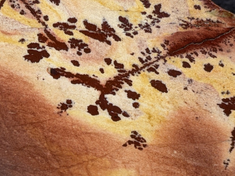 A+ Owyhee Dendritic Jasper Slab, Lot #250