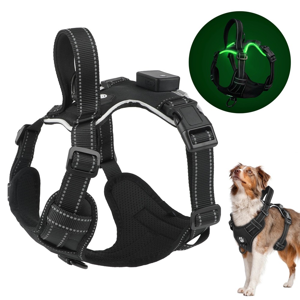 No Pull Light Up LED Dog Harness with Reflective Strips, Padded Breathable Mesh