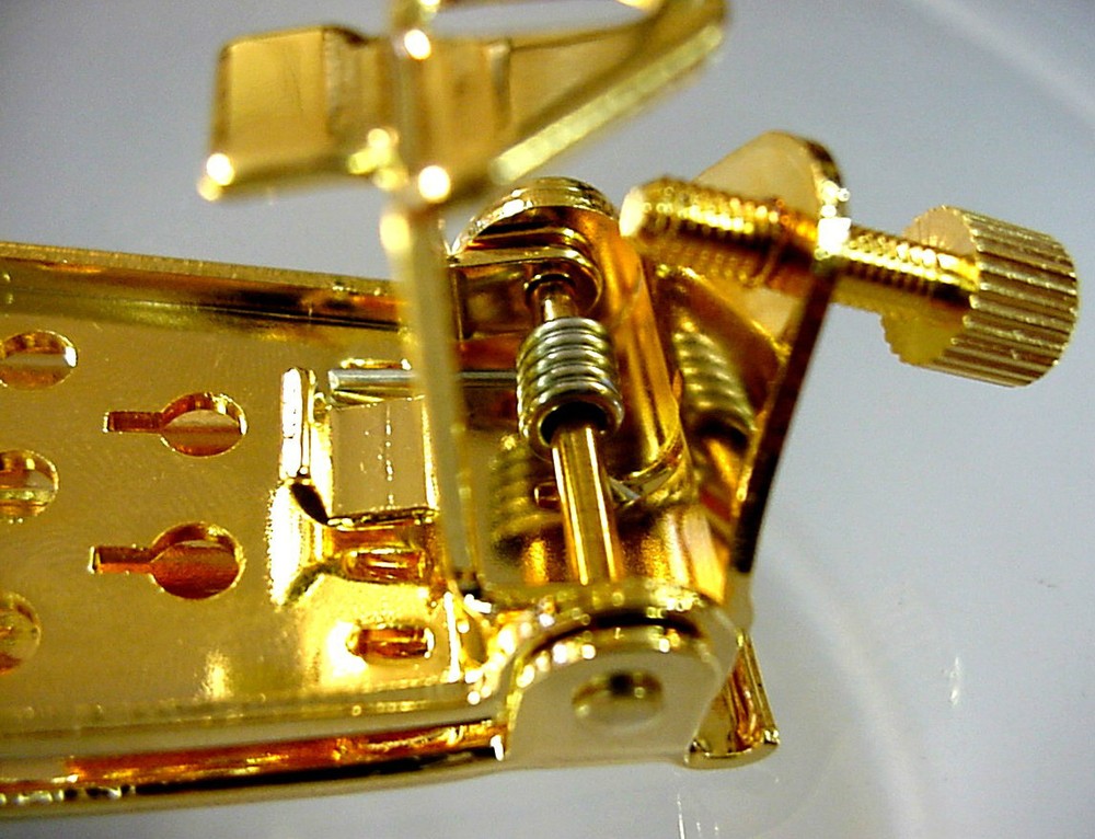 GOLD SPRING ACTION COVER + TAILPIECE FOR 5 STRING BANJO