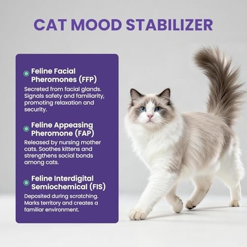 Calming Pheromone Diffuser Refills for Cats, 6-Pack, Odorless & Long-Lasting - R