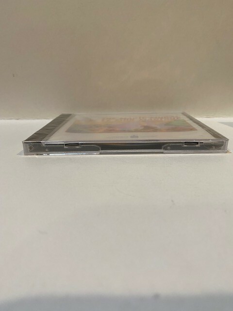 The Magic Mural PC/MAC