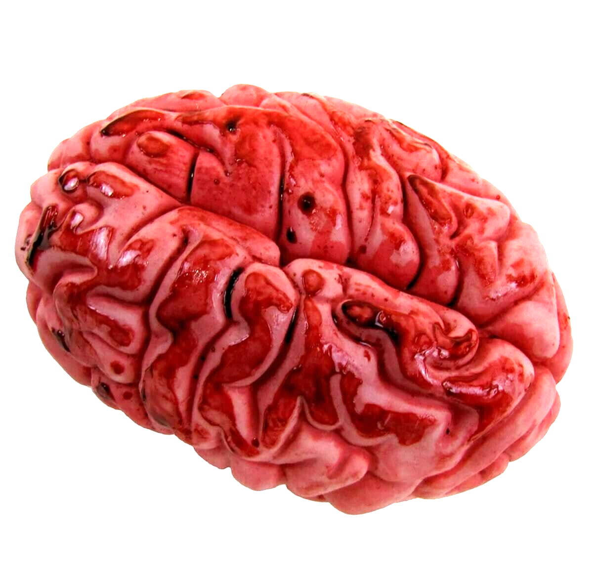 LifeSize Fake Zombie BLOODY BRAIN BUTCHER TRAY Human Organ Halloween Horror Prop