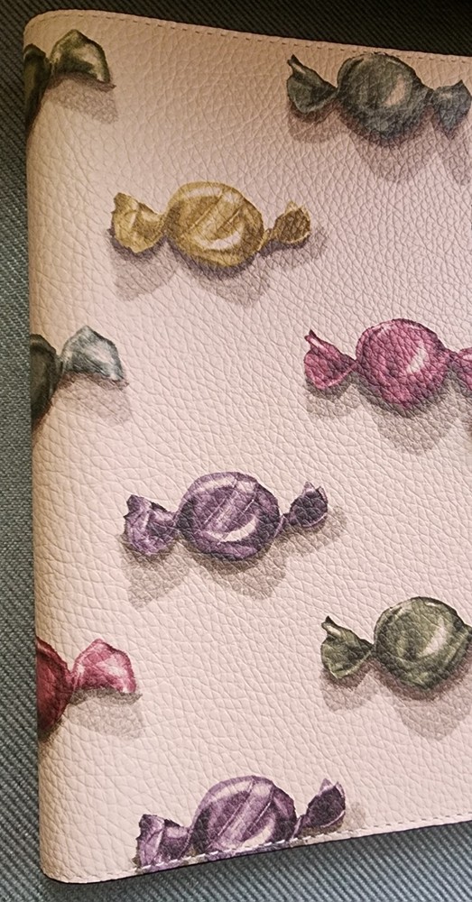 Coach Notebook With Candy Print NWT
