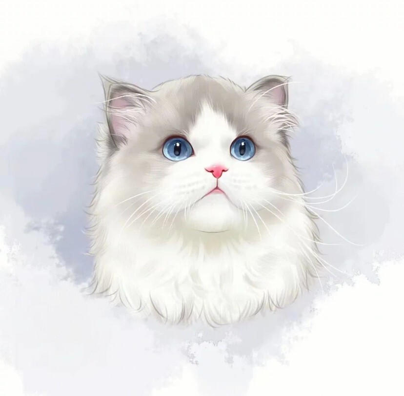 Creating customized pet pictures/logo