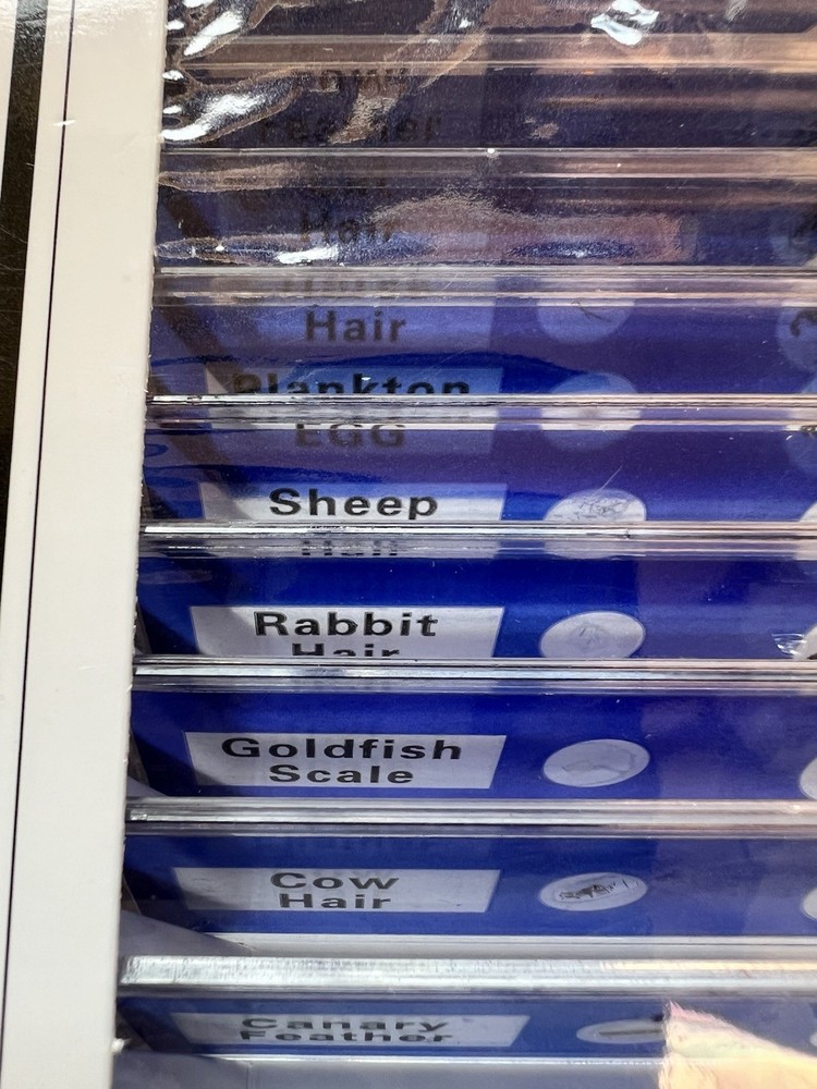 Prepared Slides Educational Type 12 Kinds