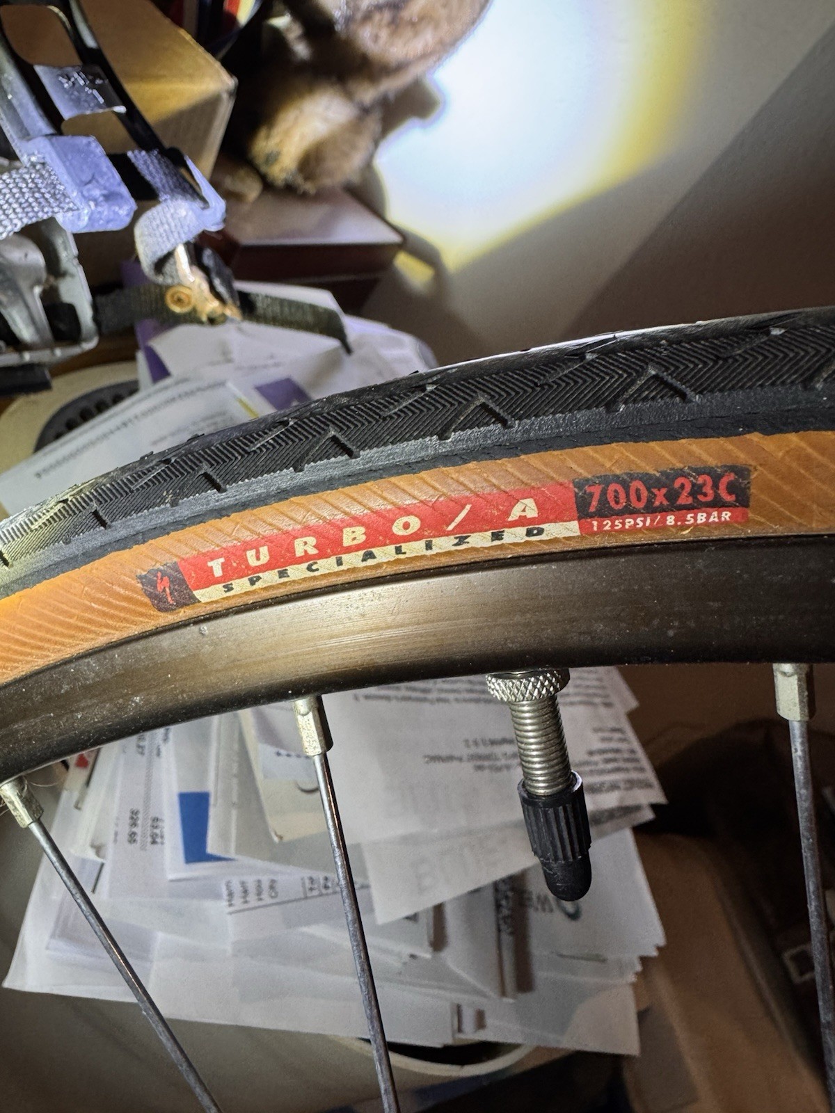 Bianchi Sport SX Vintage Racing Bike Celeste Green Steel Frame 700C Wheels