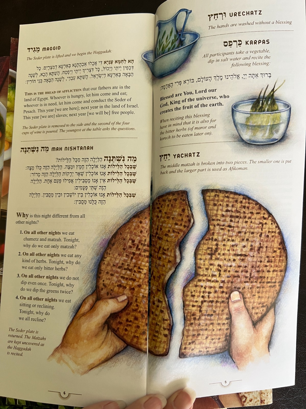 Lot of 8 Passover Seder Haggadahs Publix 2020 Paperback Books COLORFUL *NEW*