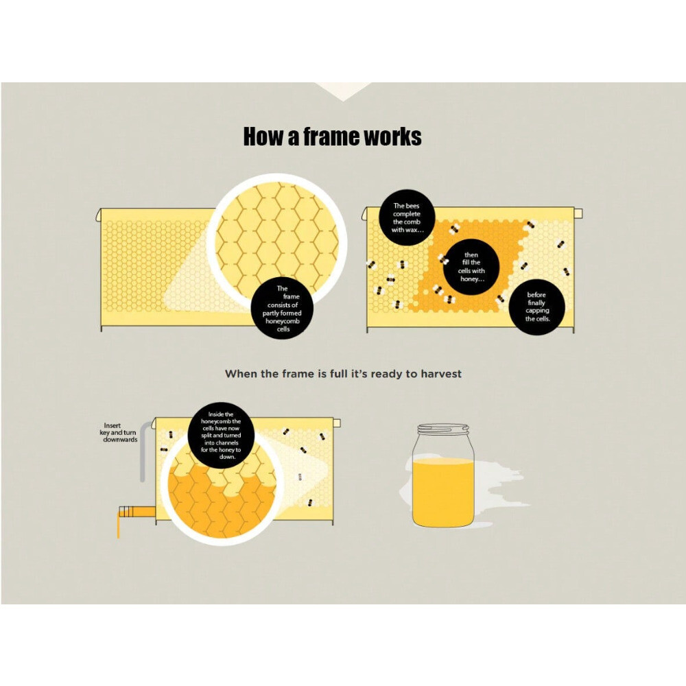 7 x Auto Beehive Frames Bee Hive + Beekeeping Hive Cedarwood Brood Box Super Box