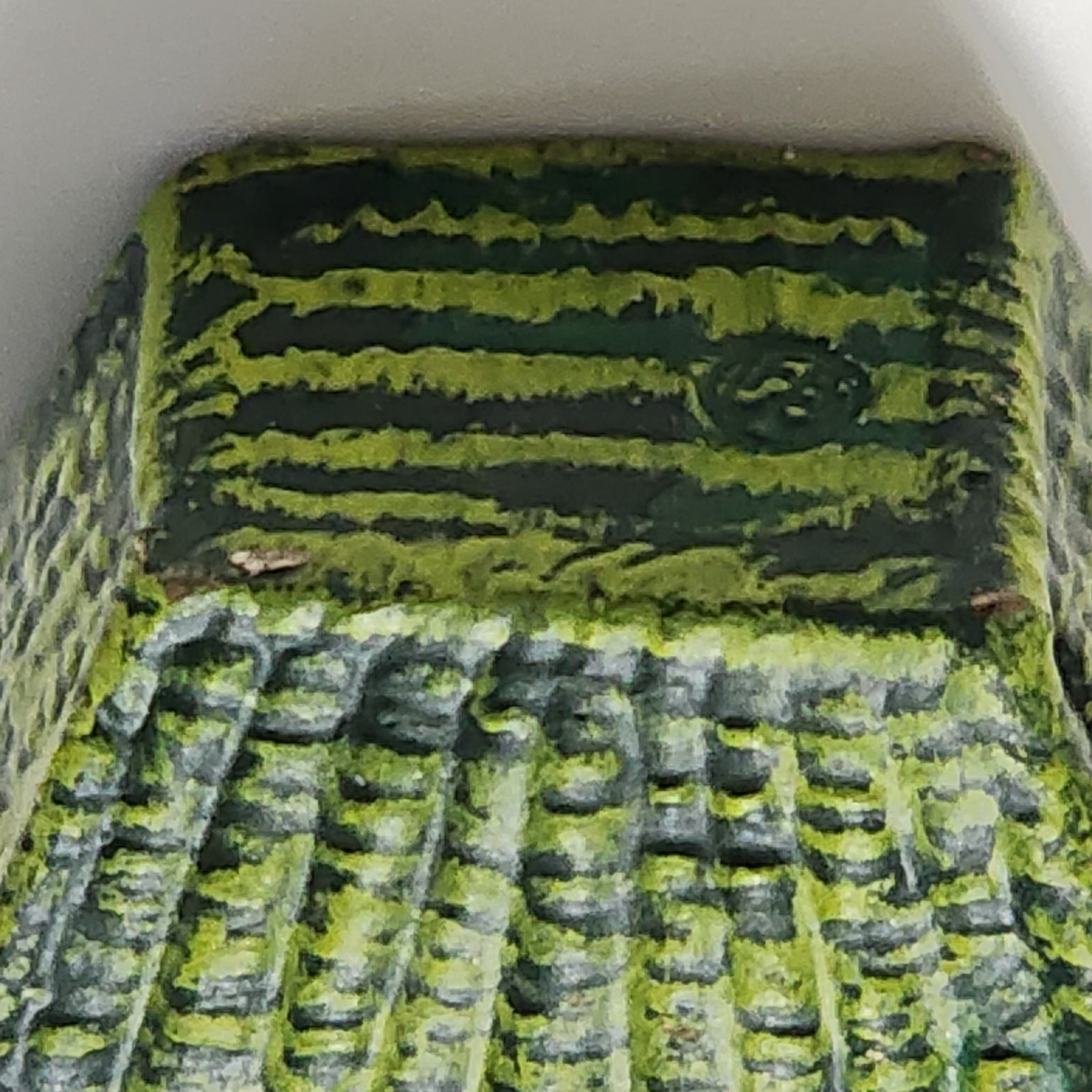 Bermann Vienna Bronze Cold Painted Kitten in Green Basket Figurine