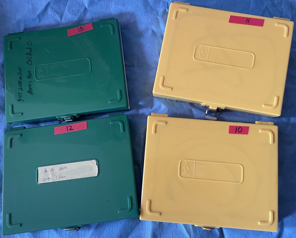 Four Microscope storage boxes with  mouse tissues slides, 10,11,12,13