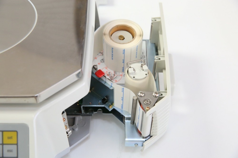 Easy Weigh Thermal Head LS-100 Printing Scale